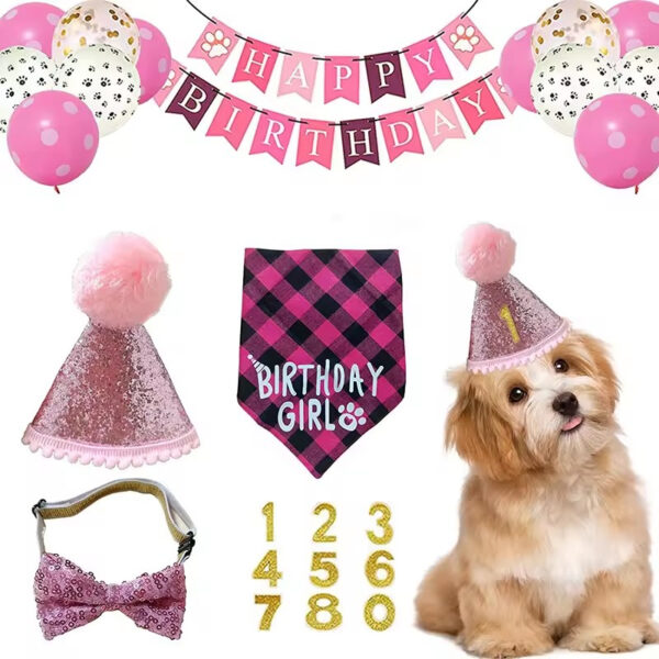 Pet Birthday Celebration Combo Pack