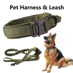 Tactical Big Dog Collar and Leash Set