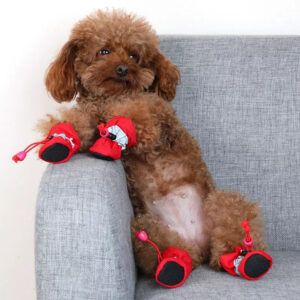 Pet Dog Shoes Waterproof